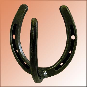 Horseshoe Wall Hook