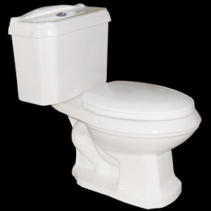 Ashley Dual Flush Elongated Toilet