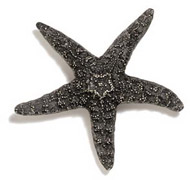 Starfish Drawer Pull